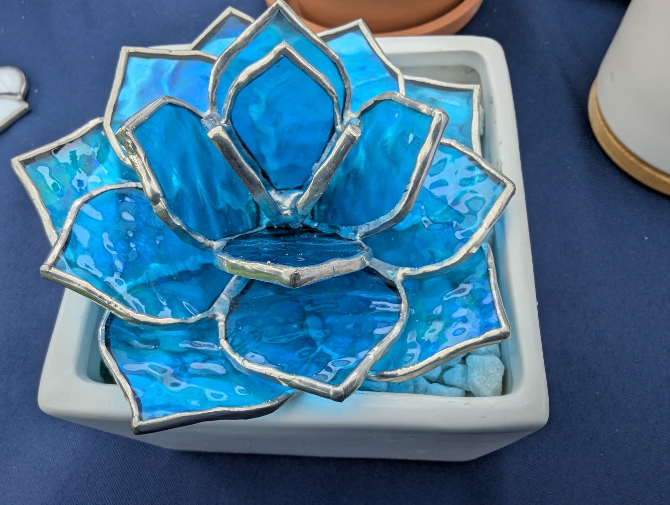 Stained Glass Succulent